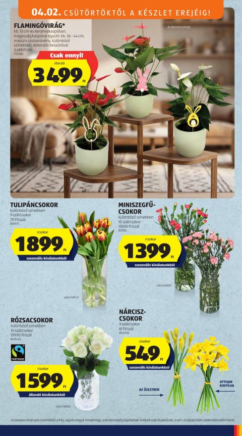 ALDI akciós újság