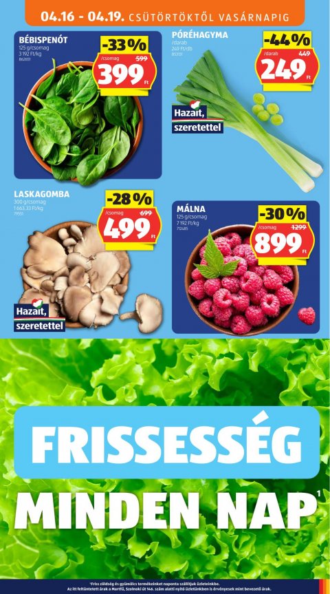 ALDI akciós újság