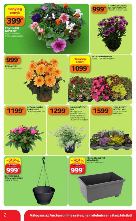 AUCHAN Hipermarket Kertészet akciós újság