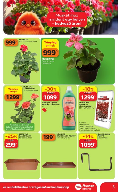 AUCHAN Hipermarket Kertészet akciós újság