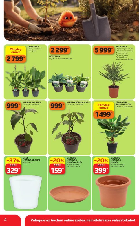 AUCHAN Hipermarket Kertészet akciós újság