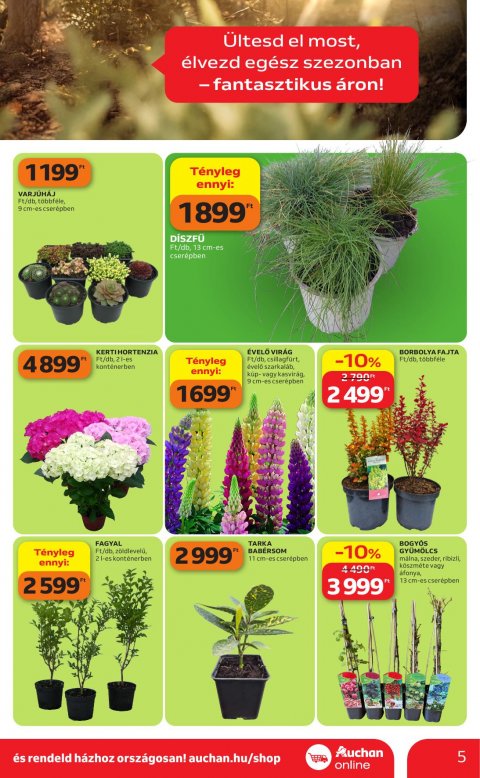 AUCHAN Hipermarket Kertészet akciós újság