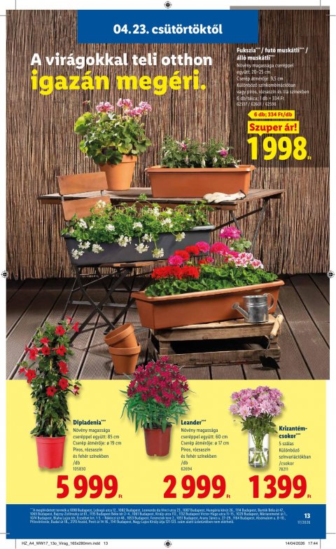 LIDL akciós újság