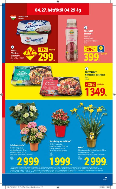 LIDL akciós újság