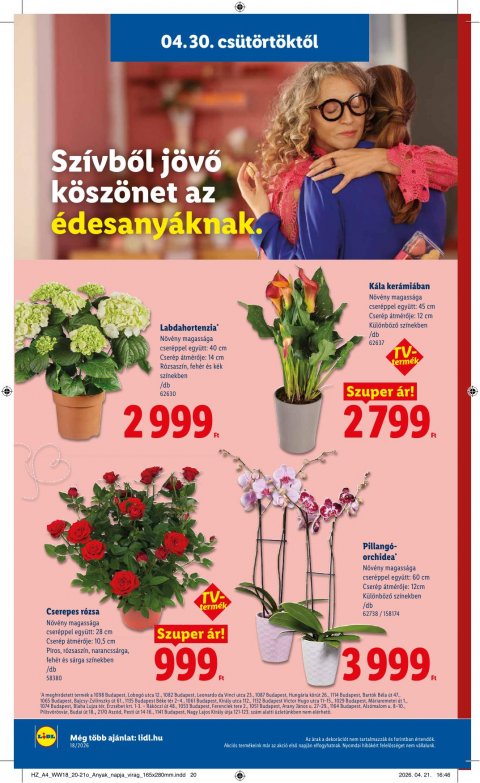 LIDL akciós újság