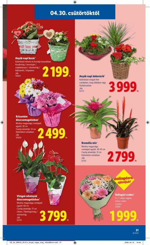 LIDL akciós újság