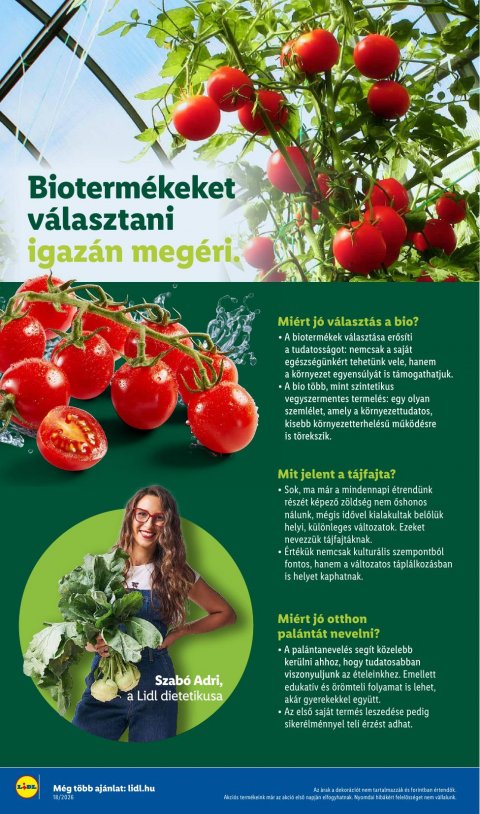 LIDL akciós újság