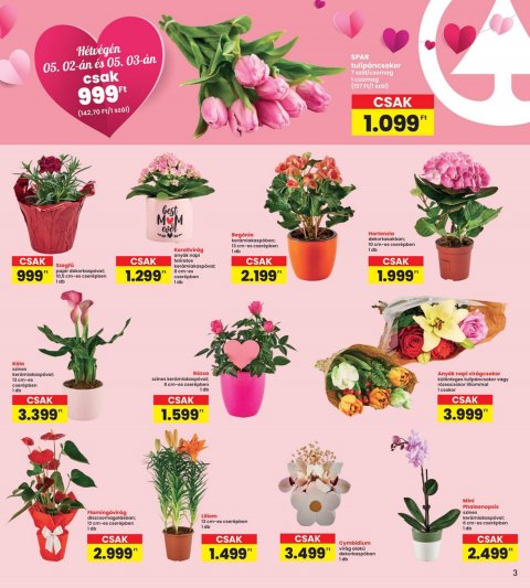 INTERSPAR akciós újság