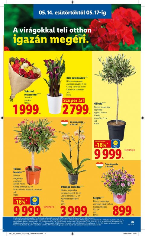 LIDL akciós újság