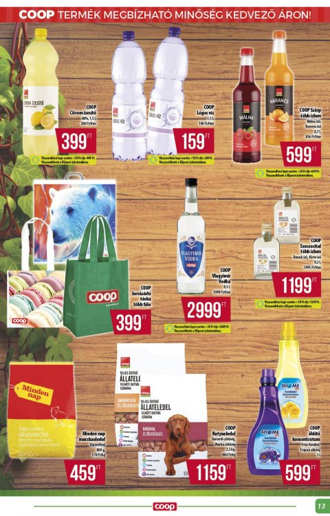 COOP Alföld akciós újság