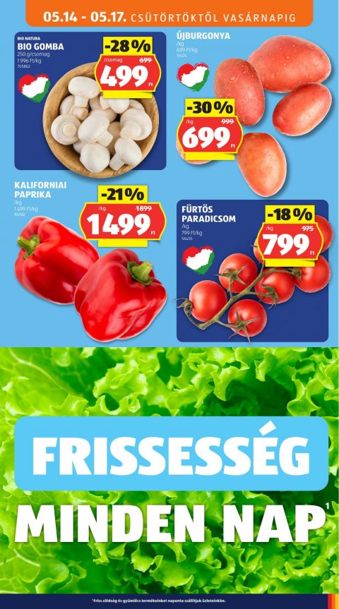 ALDI akciós újság