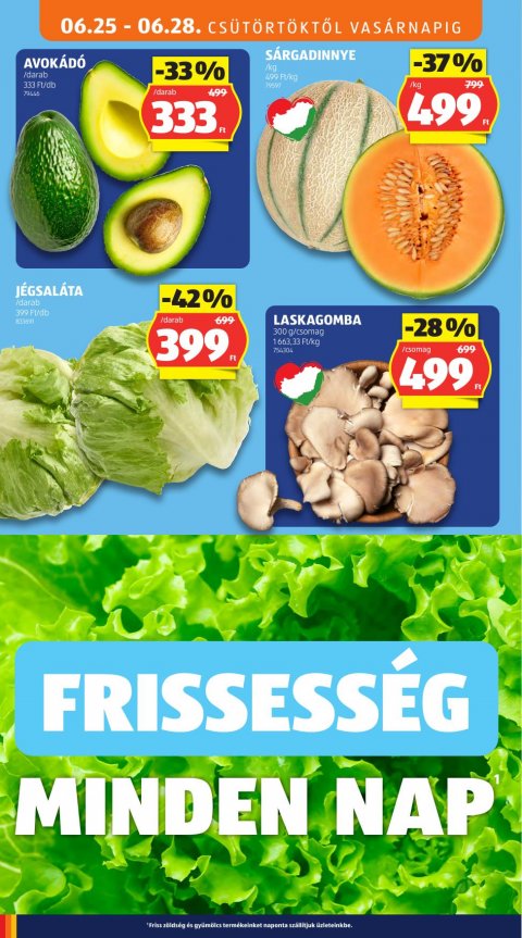 ALDI akciós újság