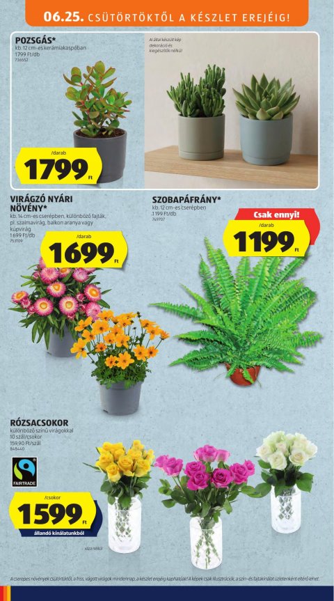 ALDI akciós újság