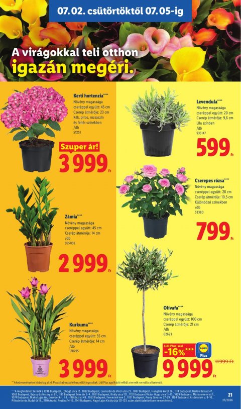 LIDL akciós újság