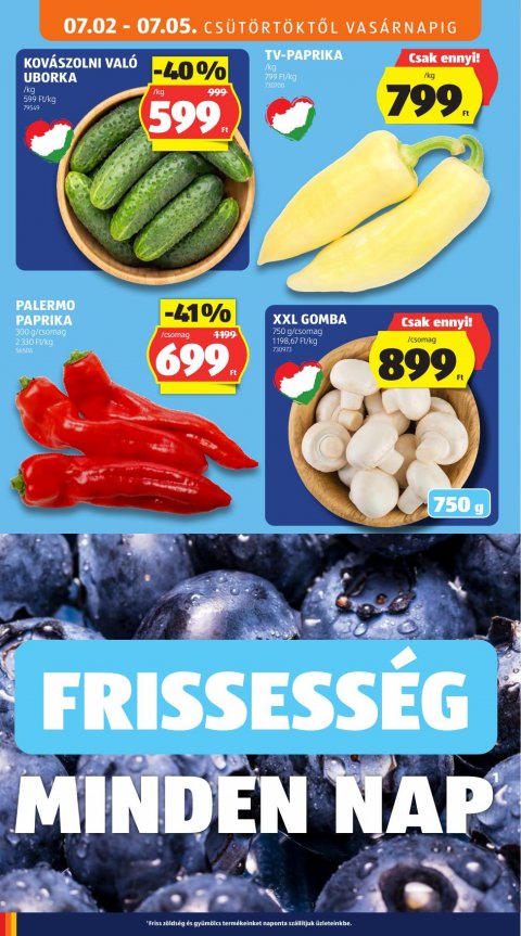 ALDI akciós újság