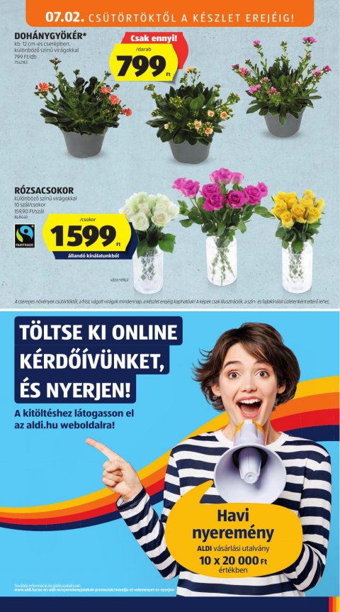 ALDI akciós újság