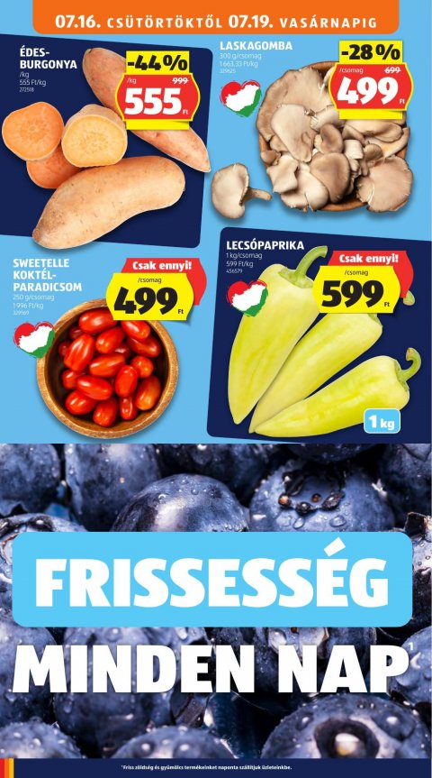 ALDI akciós újság