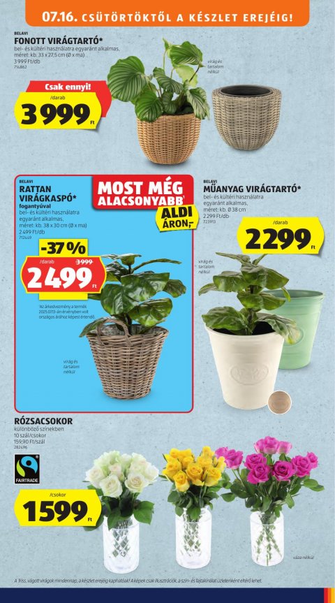 ALDI akciós újság