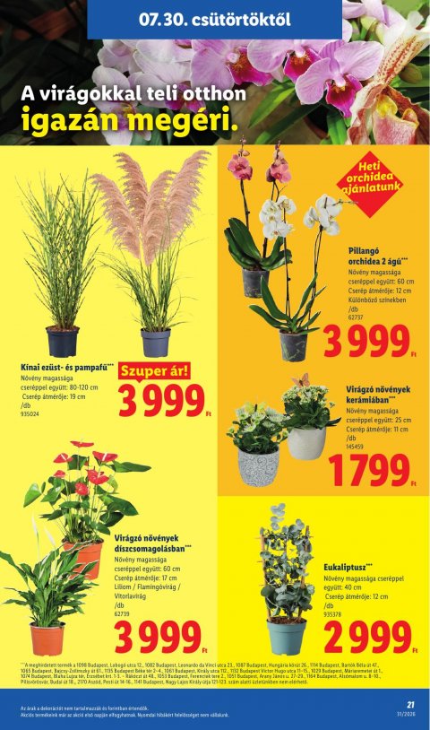 LIDL akciós újság