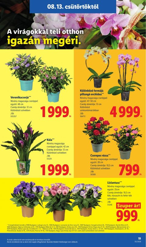 LIDL akciós újság