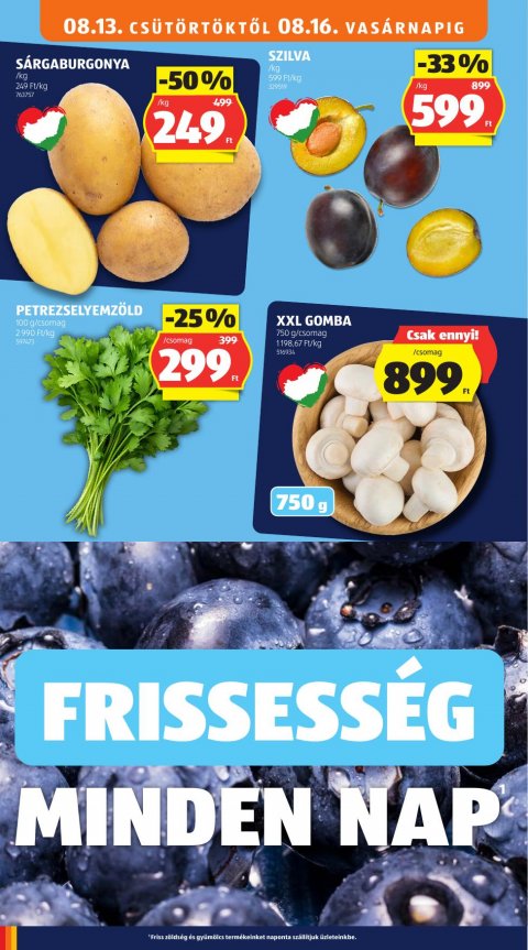 ALDI akciós újság