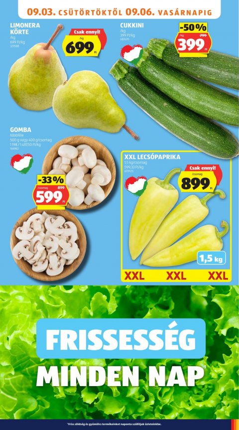 ALDI akciós újság