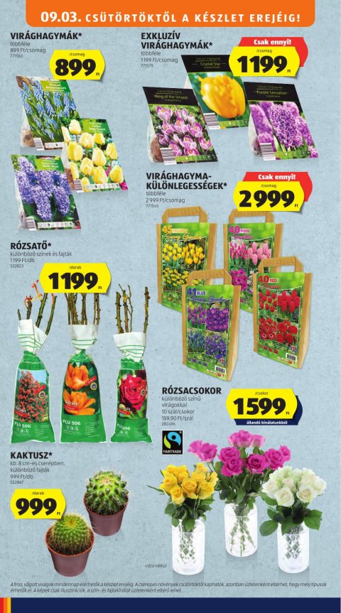 ALDI akciós újság