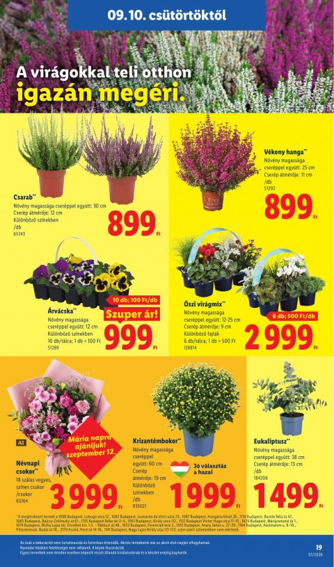 LIDL akciós újság