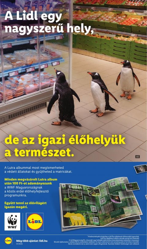 LIDL akciós újság