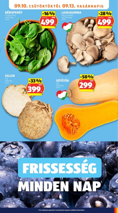 ALDI akciós újság