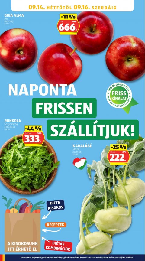 ALDI akciós újság