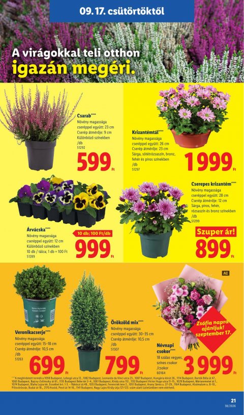 LIDL akciós újság