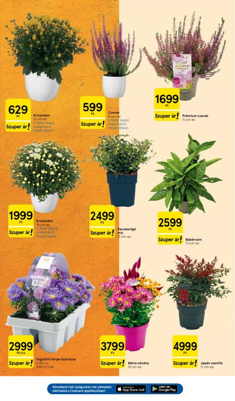 TESCO Hipermarket akciós újság