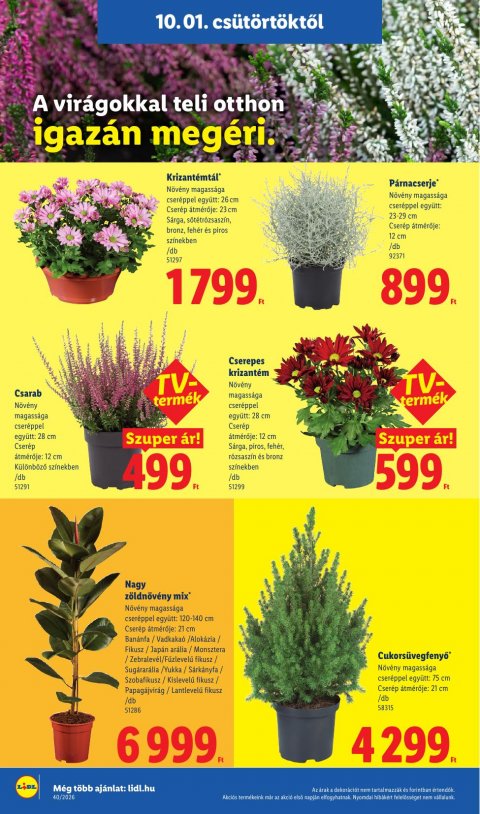 LIDL akciós újság