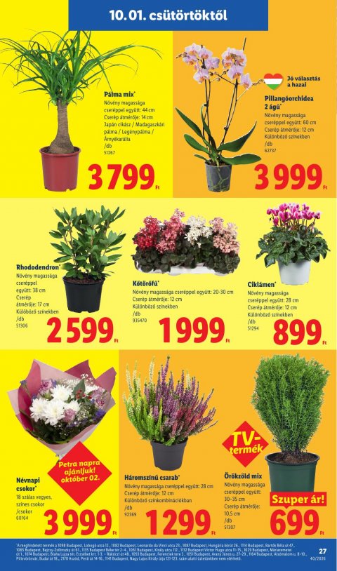 LIDL akciós újság