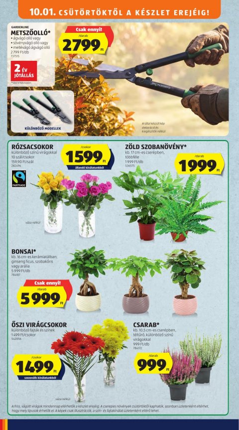 ALDI akciós újság
