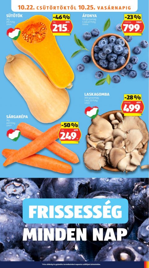 ALDI akciós újság