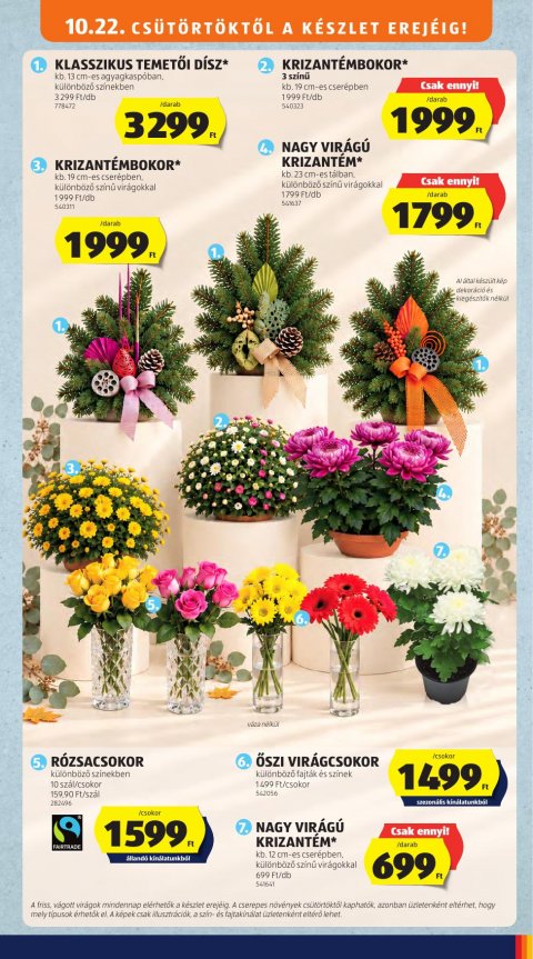 ALDI akciós újság
