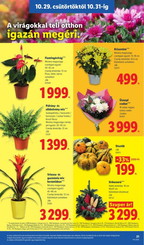 LIDL akciós újság
