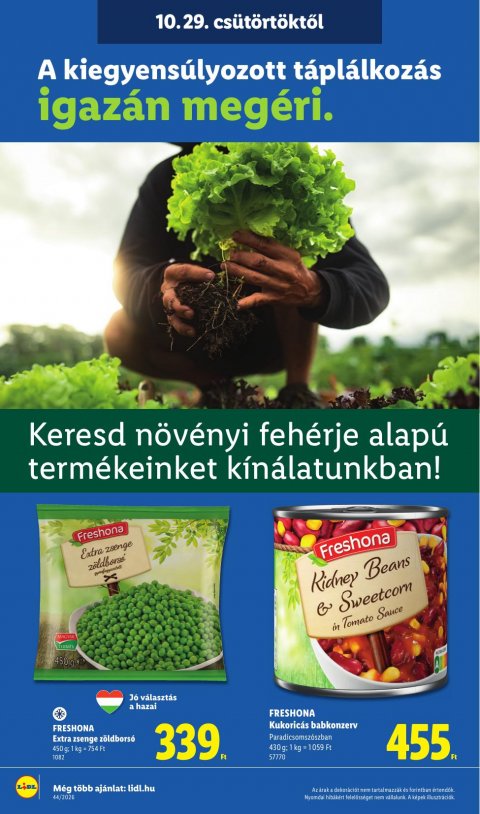LIDL akciós újság